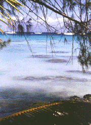 Isole Tuamotu 