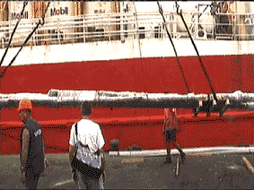 Operazioni di sbarco dell'albero a Raiatea