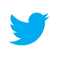 Anche noi "twittiamo"
come RivistaBolina