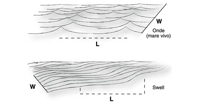 Increspature, mare vivo e "swell"