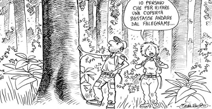 Il taglio del teak