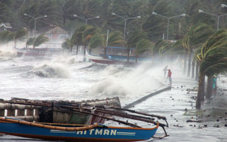 Filippine devastate
dal tifone "Haiyan"