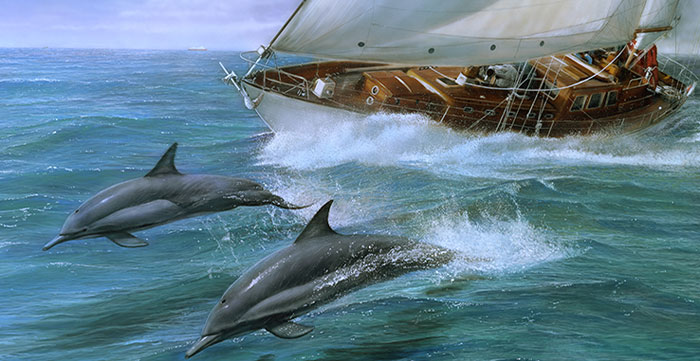 Il gioco dei delfini