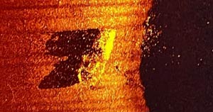Ritrovata la Quest,
l'ultima nave di Shackleton
