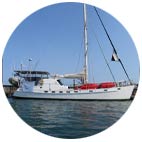 Morto avvolto dal verricello
l'indagine del Maib