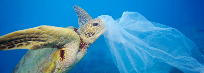 UK contro la plastica anche grazie alla VOR