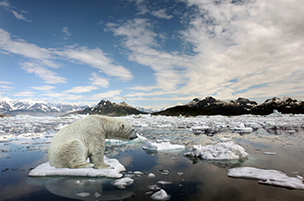 Aumento temperature:
lo conferma l'Ispra