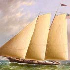 America's Cup: NYYC dal procuratore