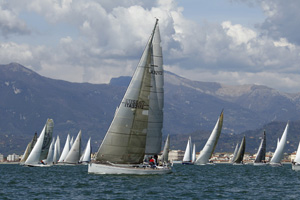 “La Regata dei Cetacei”
compie dieci anni