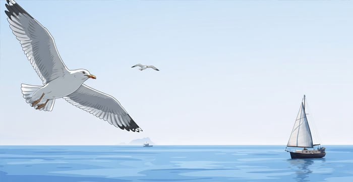 I pelagici del Mediterraneo