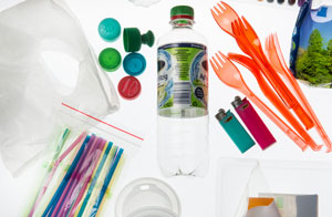Plastica monouso
limitazioni dal 14 gennaio