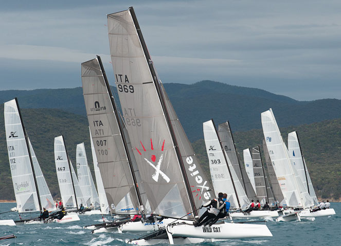 Catamarani in regata
nel Golfo di Follonica
