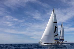 Pacific Cup: ottima 
prova per Translated 9
