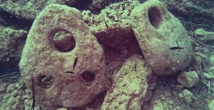 Origini ed evoluzione dell'ancora
