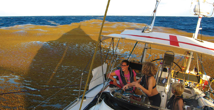 Transat Paprec: vincono i Sargassi