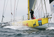 Velux 5 Ocean: vince Bernard Stamm
