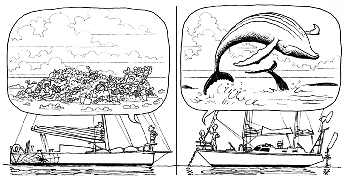 Il Pacifico? &Egrave; vivo e vegeto