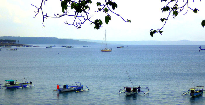 Rotta indonesiana