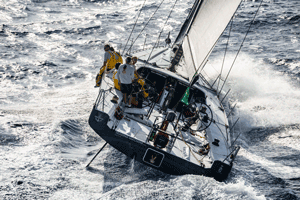Middle Sea Race
vince Teasing Machine