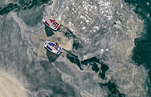 Emergenza mucillagine
sulle sponde della Turchia
