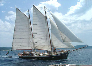 Salpa “Boats 4 People”
per un Mediterraneo solidale