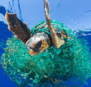 Microplastiche proliferano
anche in Mediterraneo