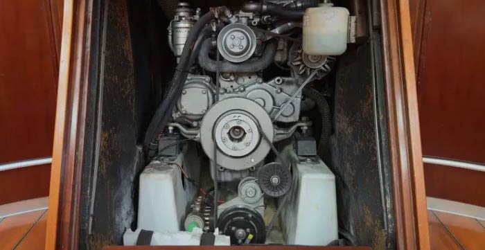 Motore: dalla trasmissione alle alghe