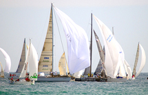 Torna in Adriatico 
"The Fuxia Race"