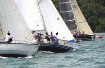 "Italian Golden Trophy"
a Marciana Marina