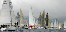 Millevele: a Genova
una festa per tutti