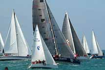 Altura nell'alto Adriatico
con la "Pesaro Rovigno"