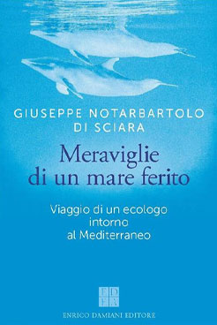 Meraviglie di un mare ferito
