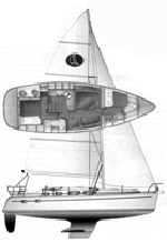 Hunter 41