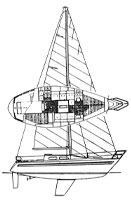 Dullia 30