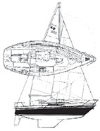 Edel 6