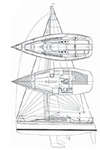 Dehler  29