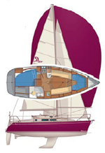 Delphia 29