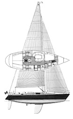 Genesi 43