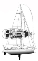 Allures 44