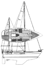 Amphora
