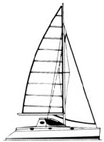 Catana 411