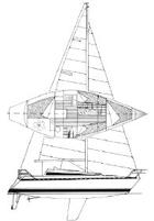Conati 31