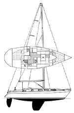 Centurion 36