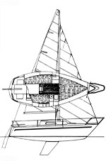 Flash D21