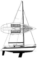 Dehlya 25