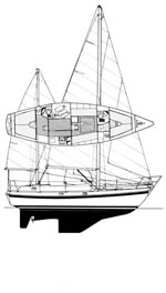 Dullia 38