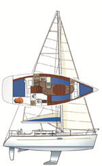 Oceanis 323