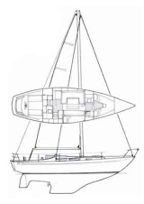 Nicholson 35