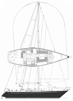 Impala 41