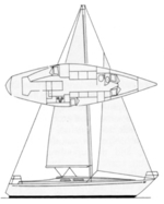 She 36